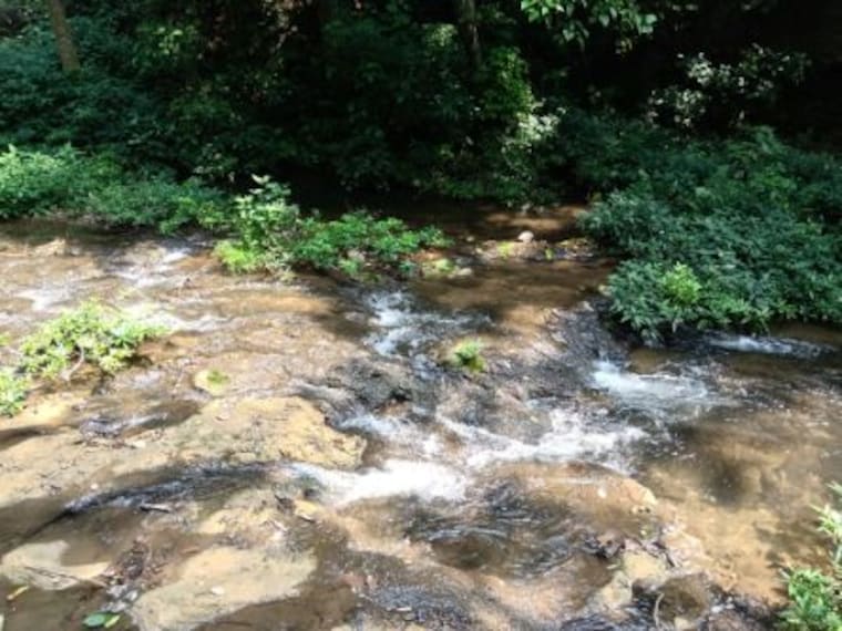 Corbett Falls 5